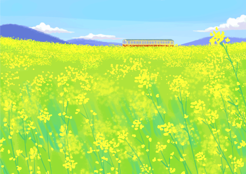 菜の花畑と赤い電車